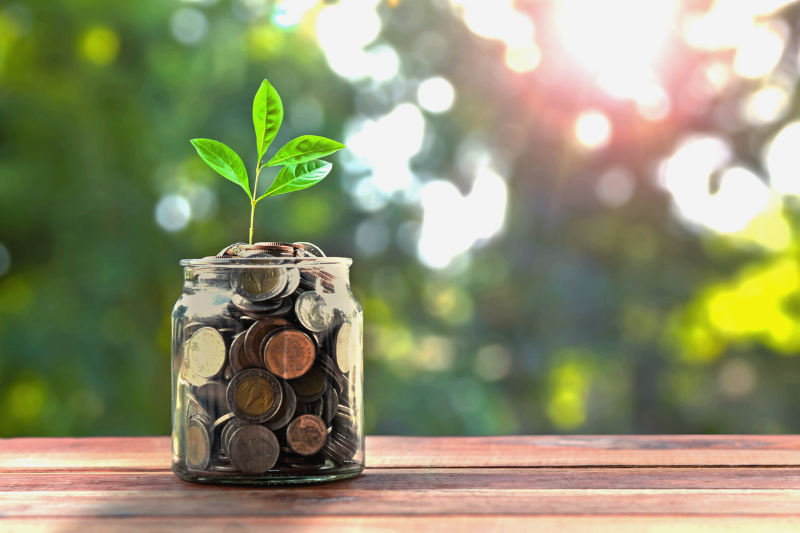 Money Jar with Plant